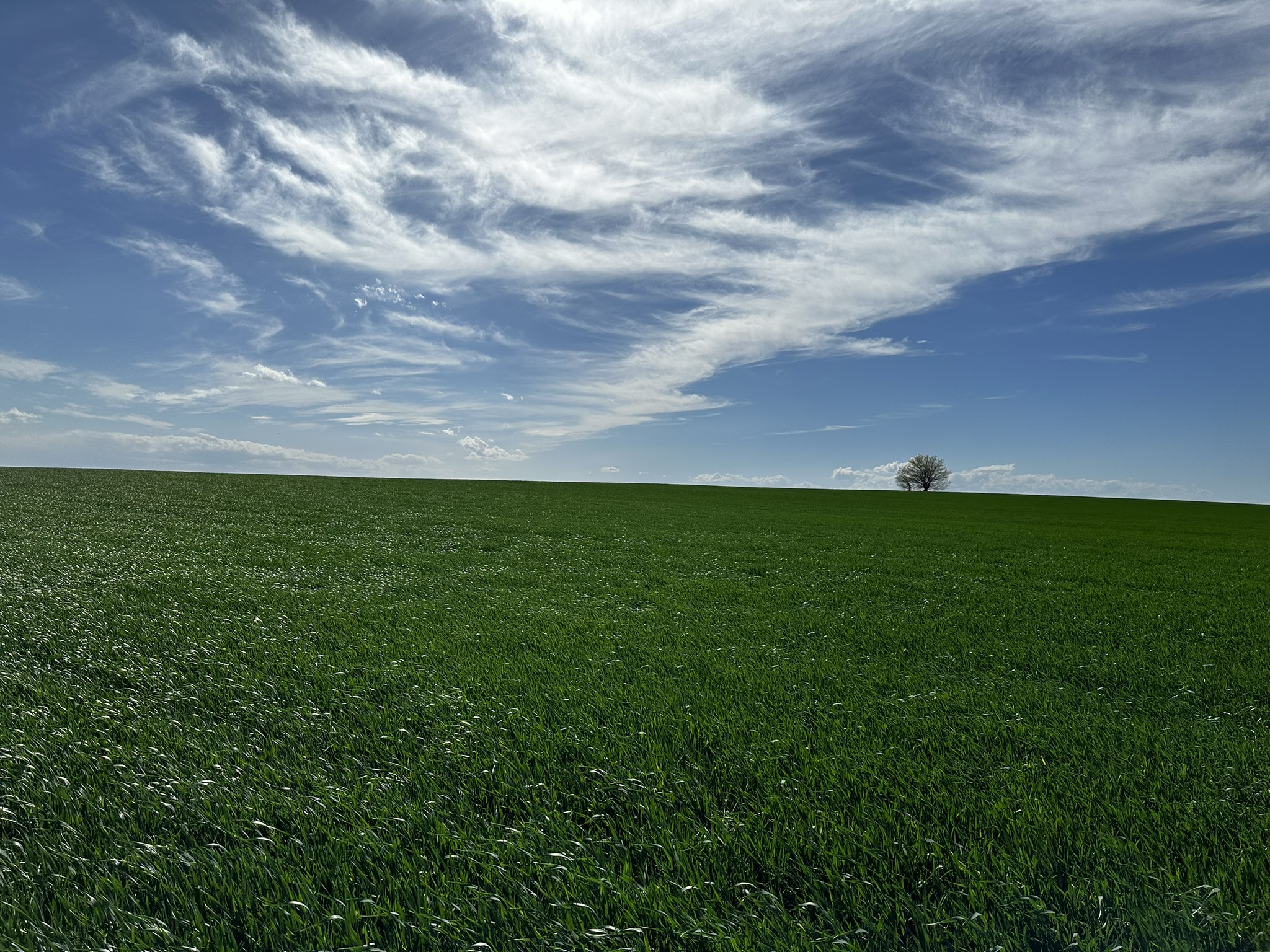 Покупка на земеделска земя 1