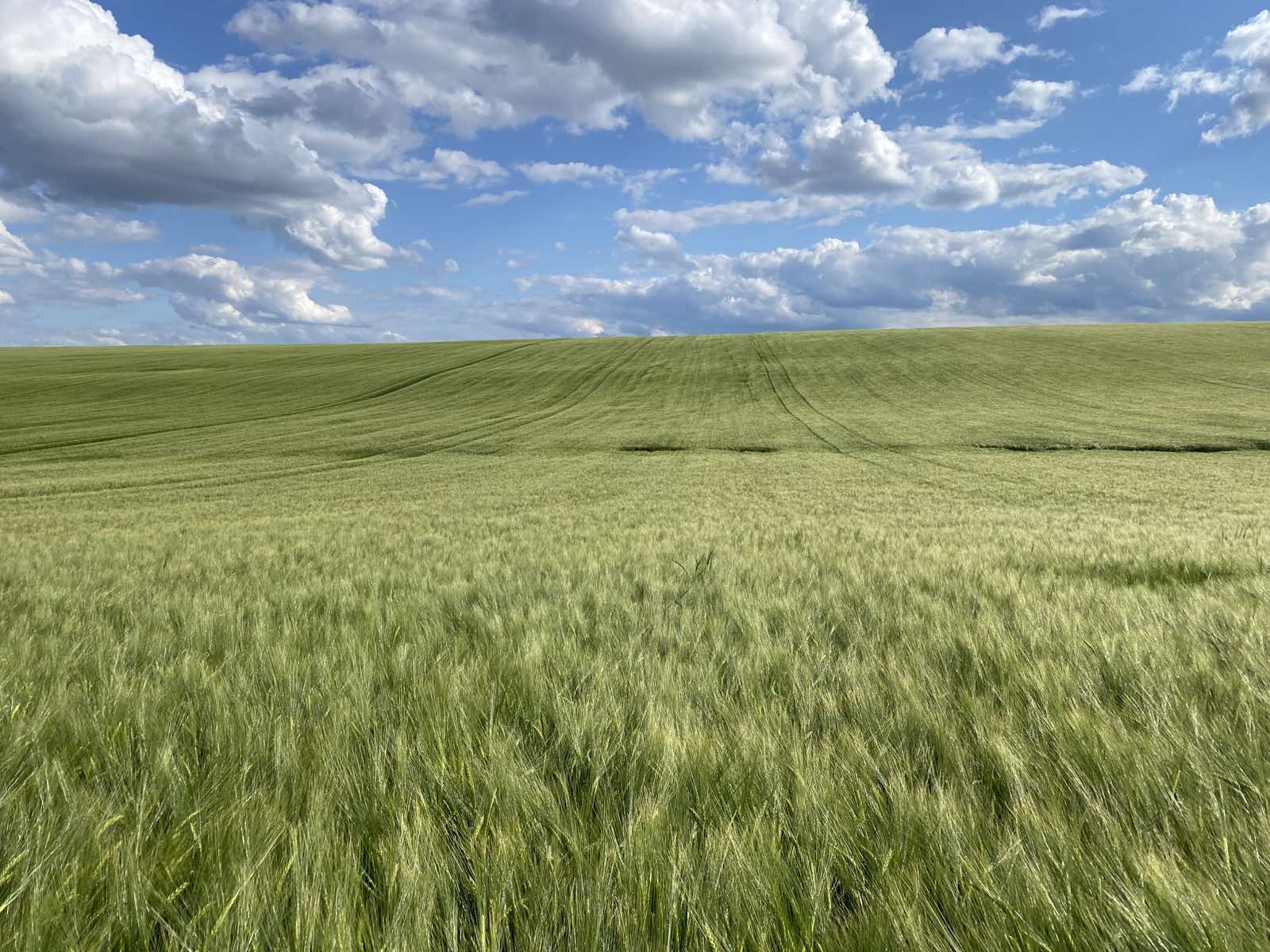 Покупка на земеделска земя 2